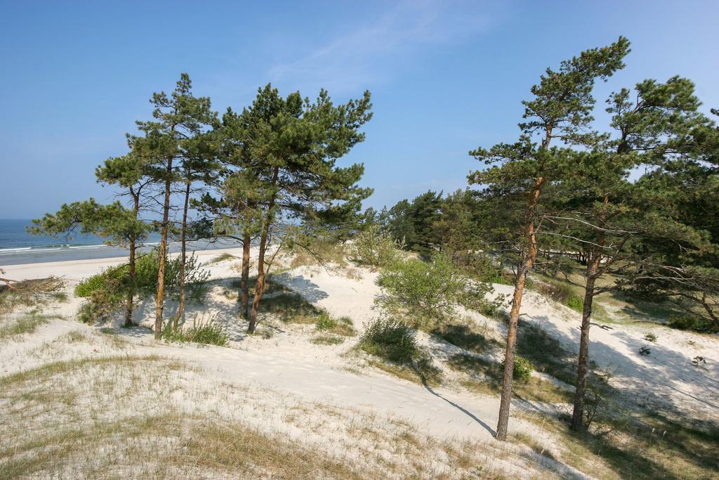Vila Medus Паланга Экстерьер фото