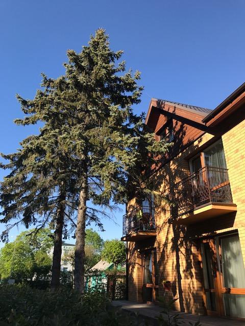 Vila Medus Паланга Экстерьер фото